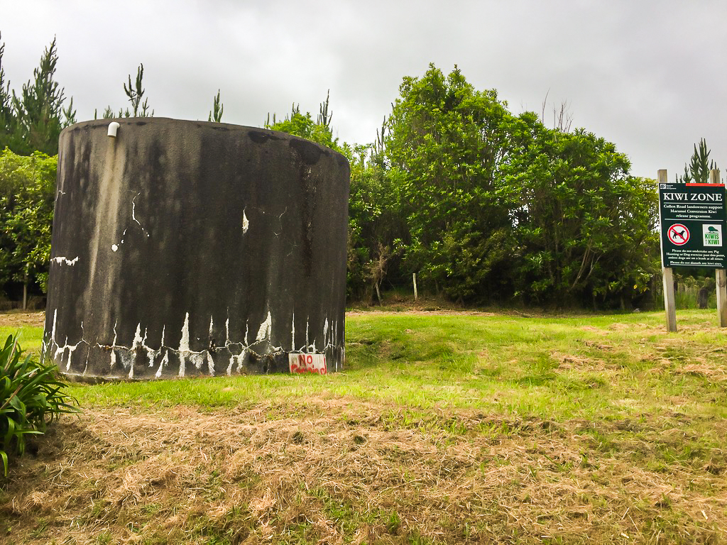 Morning Tea Break Spot - Te Araroa