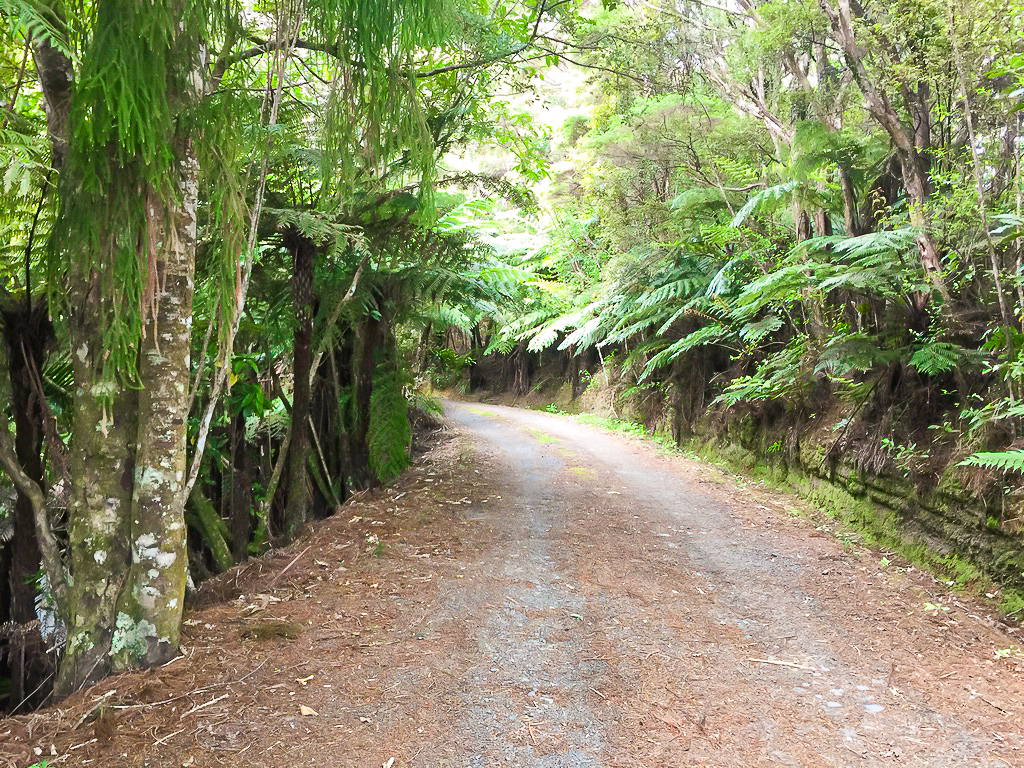 Roadwalk out of Waipu Cove - Te Araroa