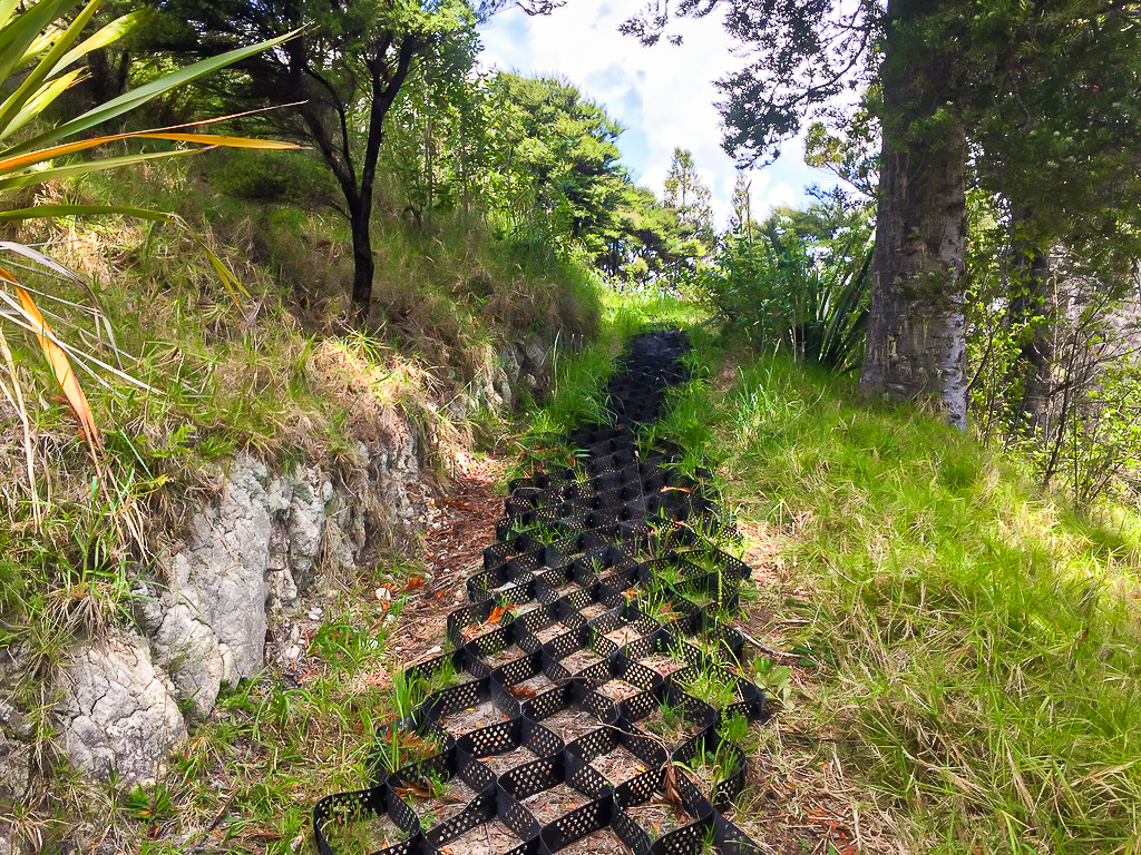 Unfinished Track Maintenance - Te Araroa