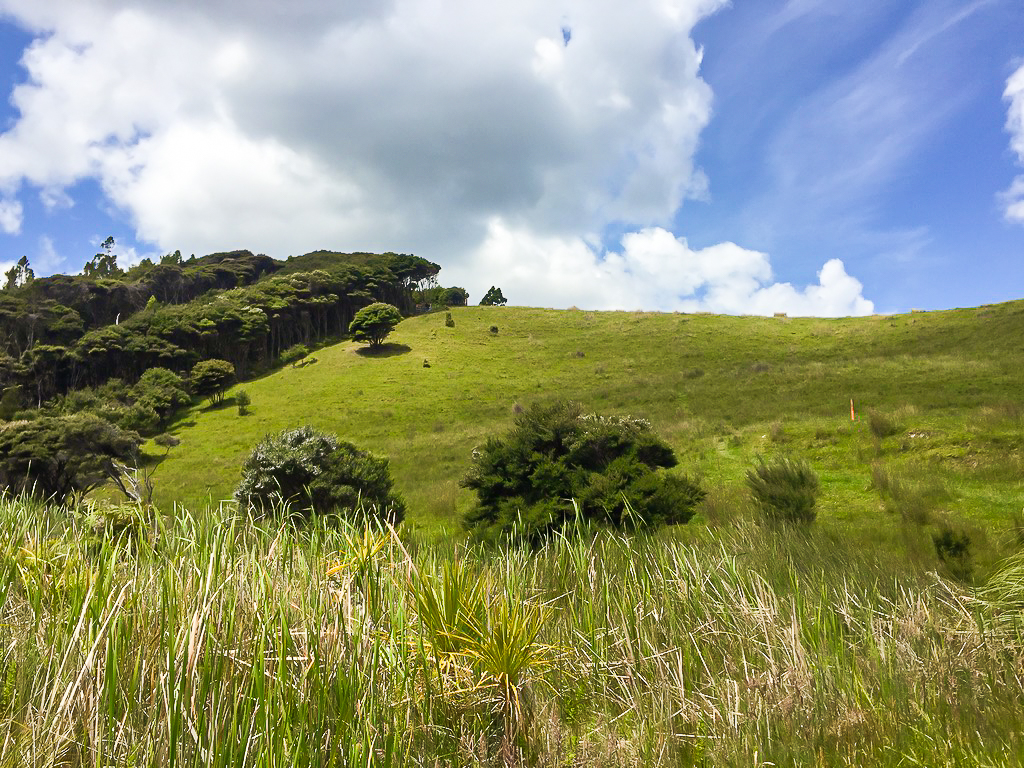 Unrelenting Paddock Climbs - Te Araroa