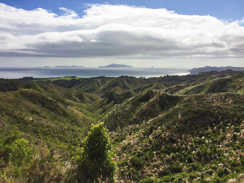 Waipu Cove View - Te Araroa