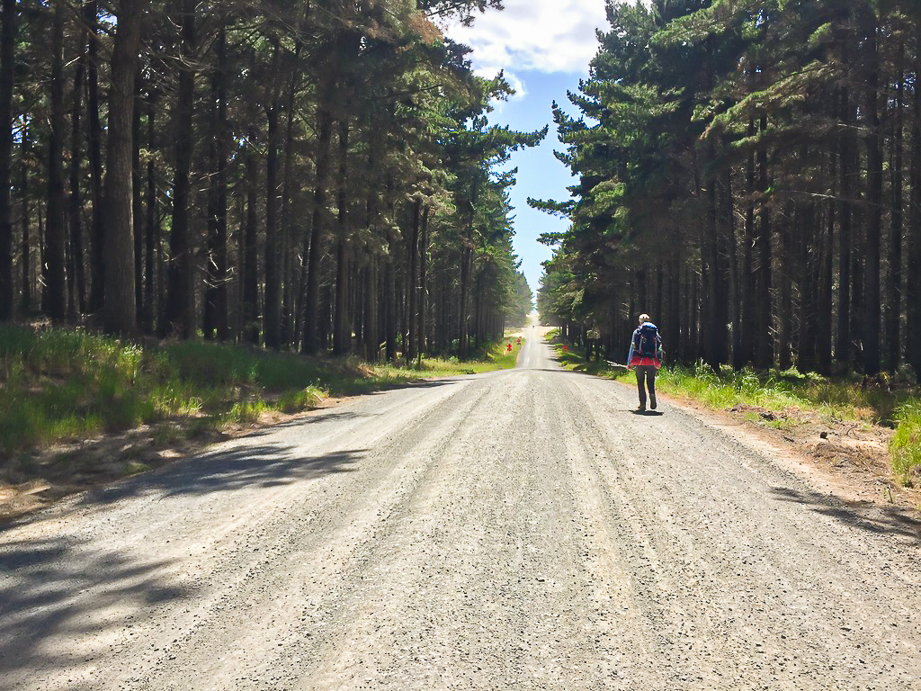 Mangawhai Bakery Hiker Stop - Te Araroa