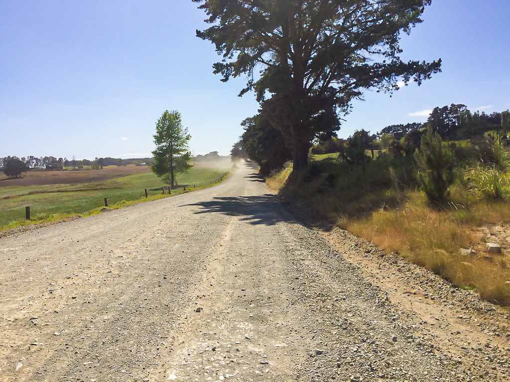 Mangawhai Gravel Road Walk - Te Araroa