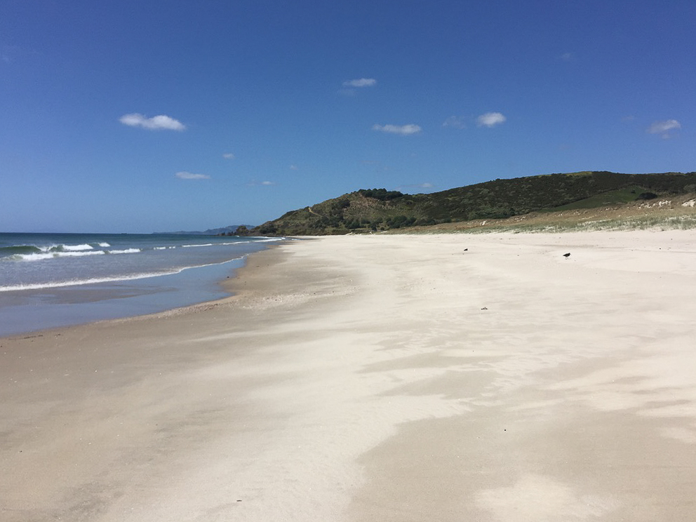 Pakiri Beach Walk - Te Araroa