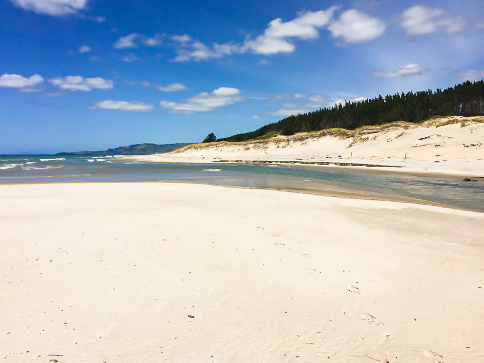 Pakiri River Estuary Crossing - Te Araroa