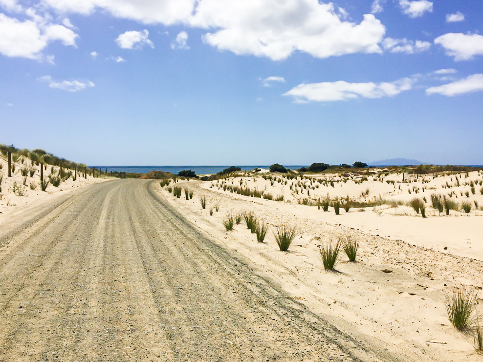 Road Walk Down to the Beach - Te Araroa