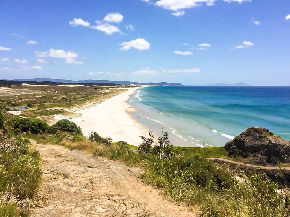 View from the Top of Te Araia Point- Te Araroa