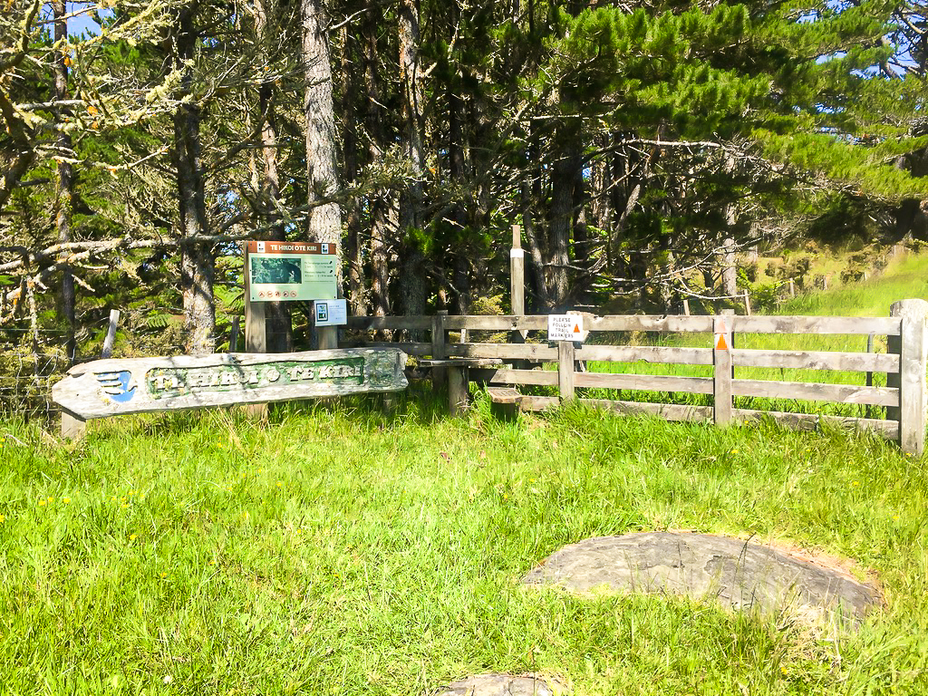 Crossing onto the Track on Mt Tamahunga - Te Araroa