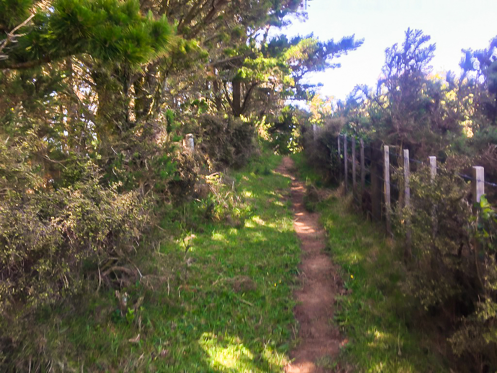 Mt Tamahunga Track Through Mud - Te Araroa