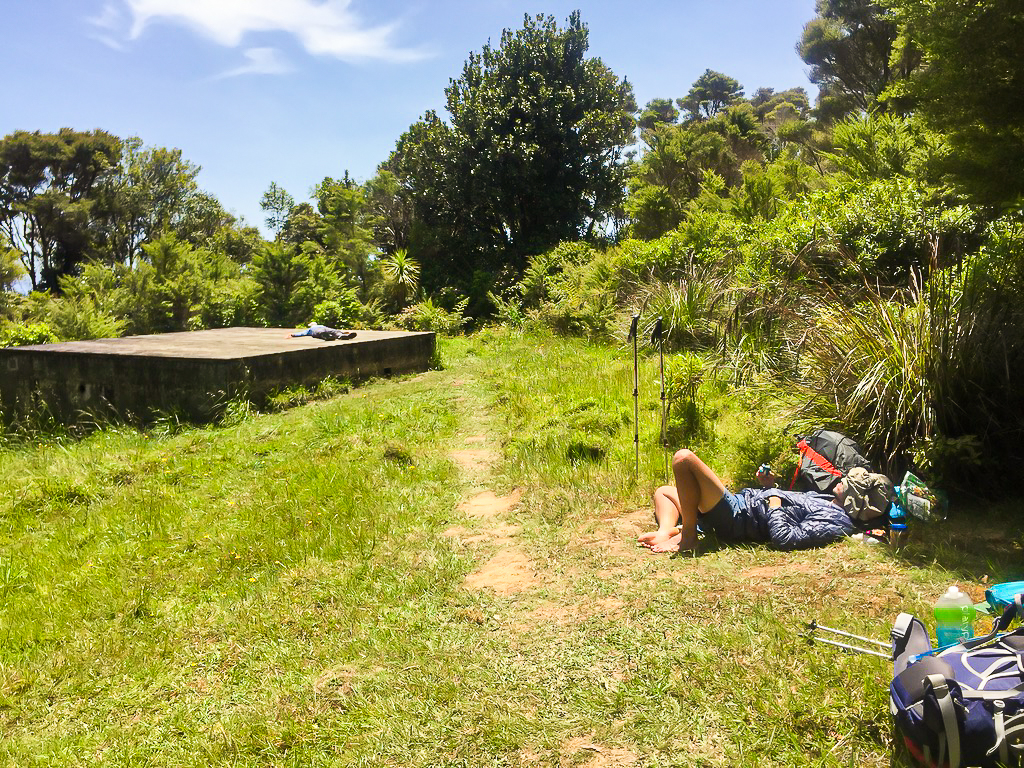 Mt Tamahunga Lunch Spot - Te Araroa