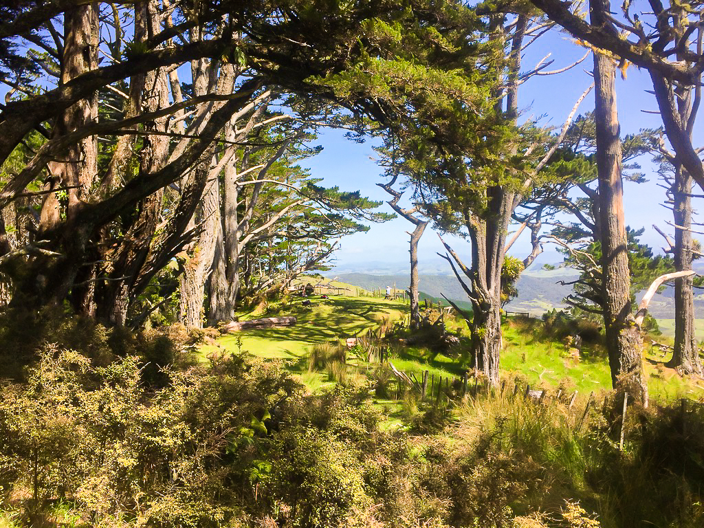 Mt Tamahunga Viewpoint - Te Araroa