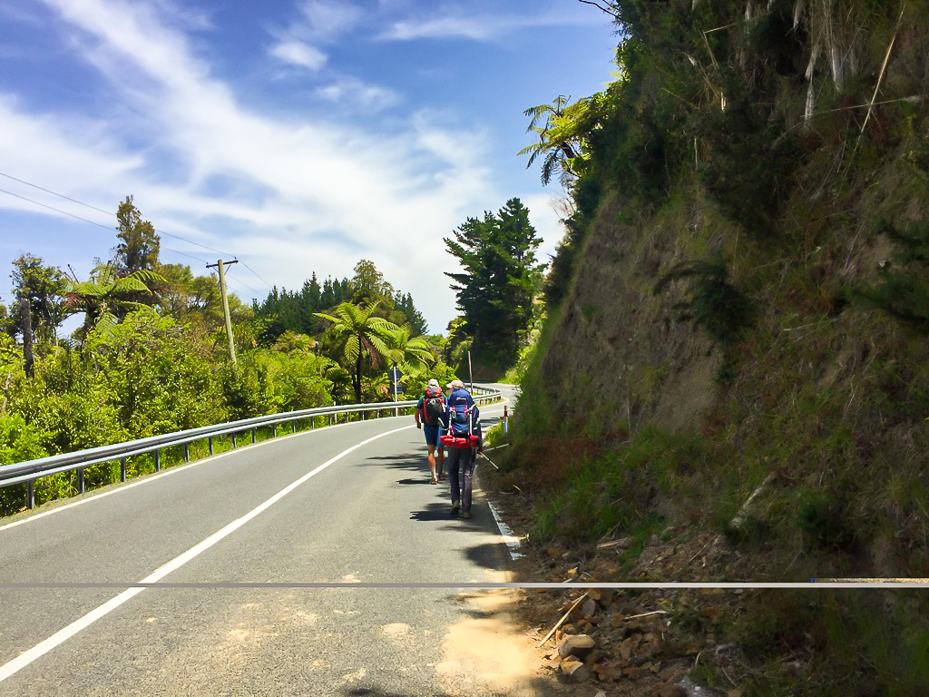 Road Walk to Govan Wilson Road - Te Araroa