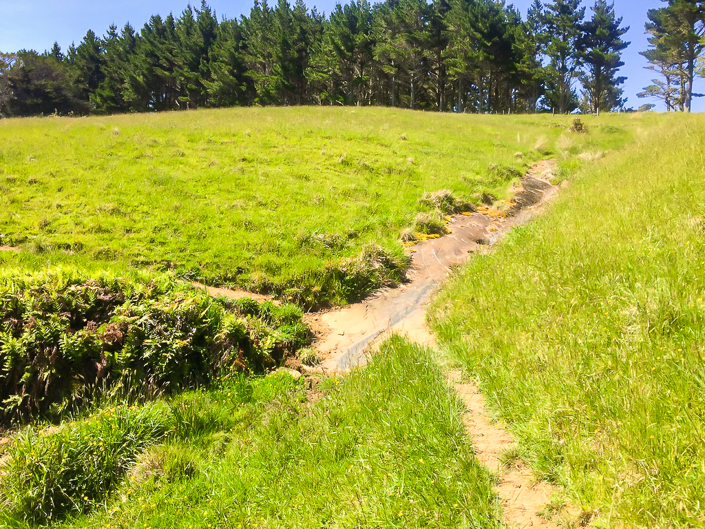 Taking a Wrong Turn on the Mt Tamahunga Track - Te Araroa