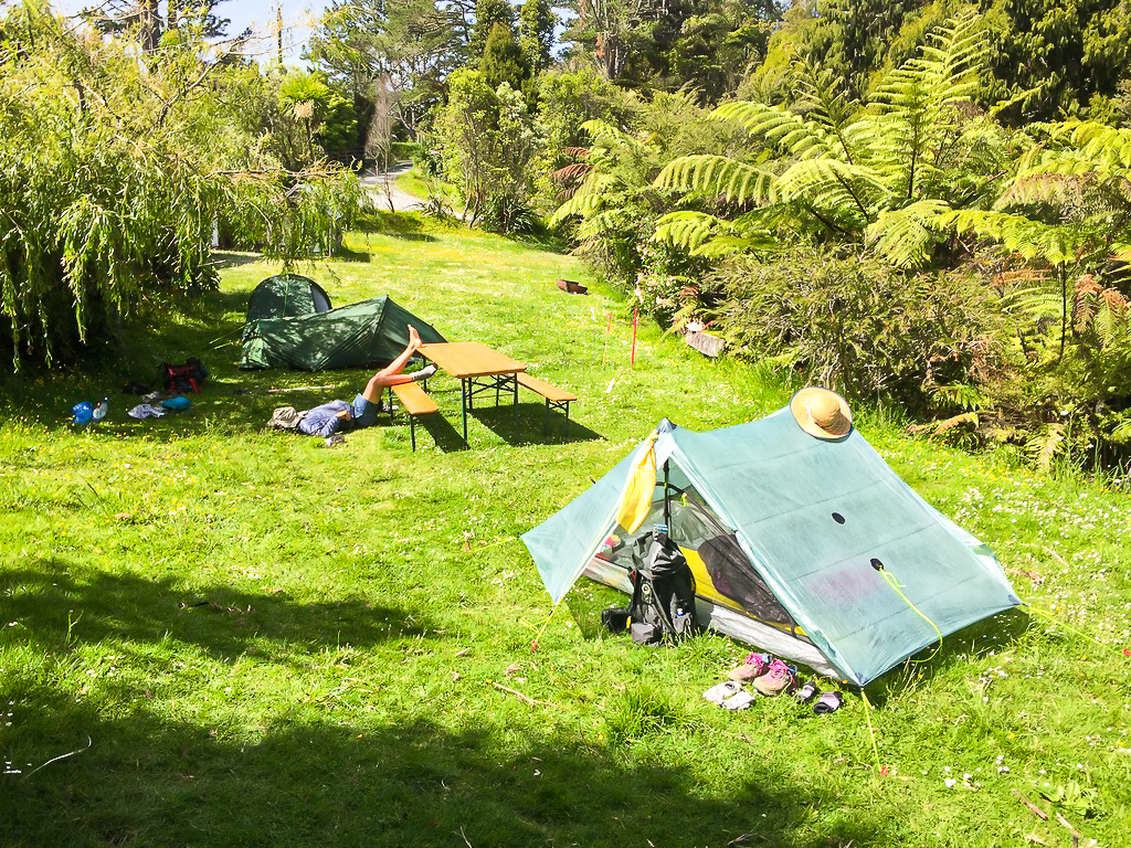 Twin Rimus Govan Wilson Road Campsite - Te Araroa