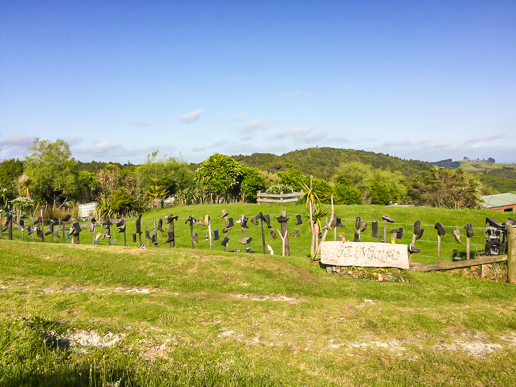 Gum Boot Fence Govan Wilson Road - Te Araroa