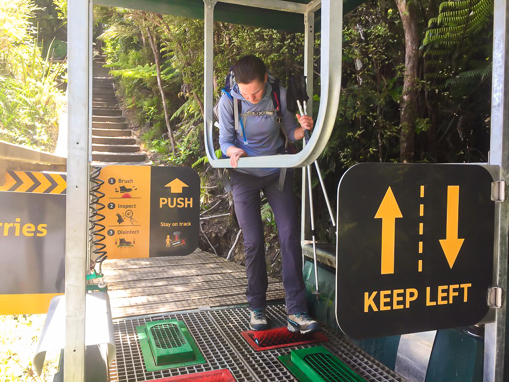 Dome Forest Track End Boot Cleaning Station - Te Araroa