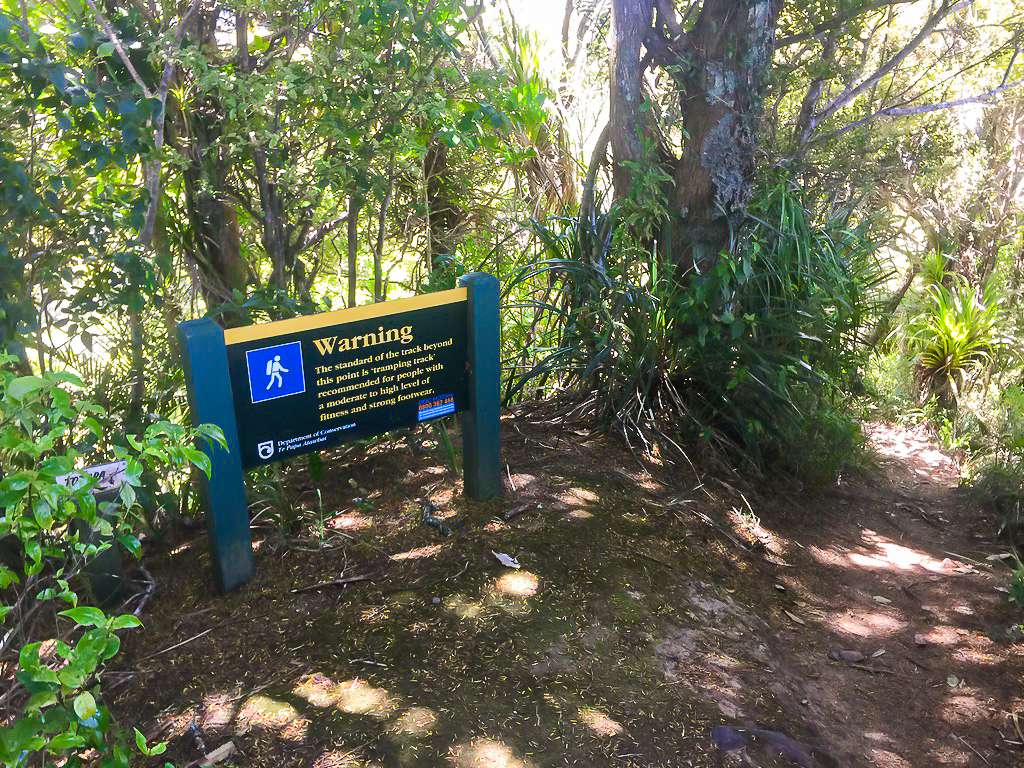 Dome Forest Tramping Track Sign - Te Araroa