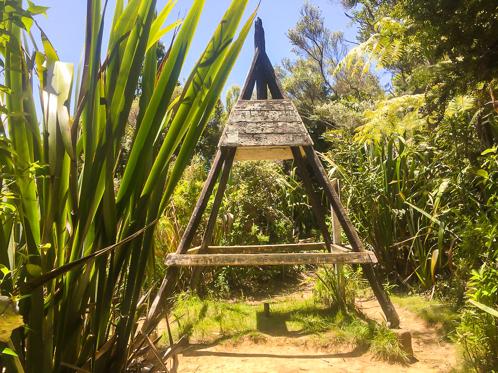 Dome Summit Trig Point - Te Araroa