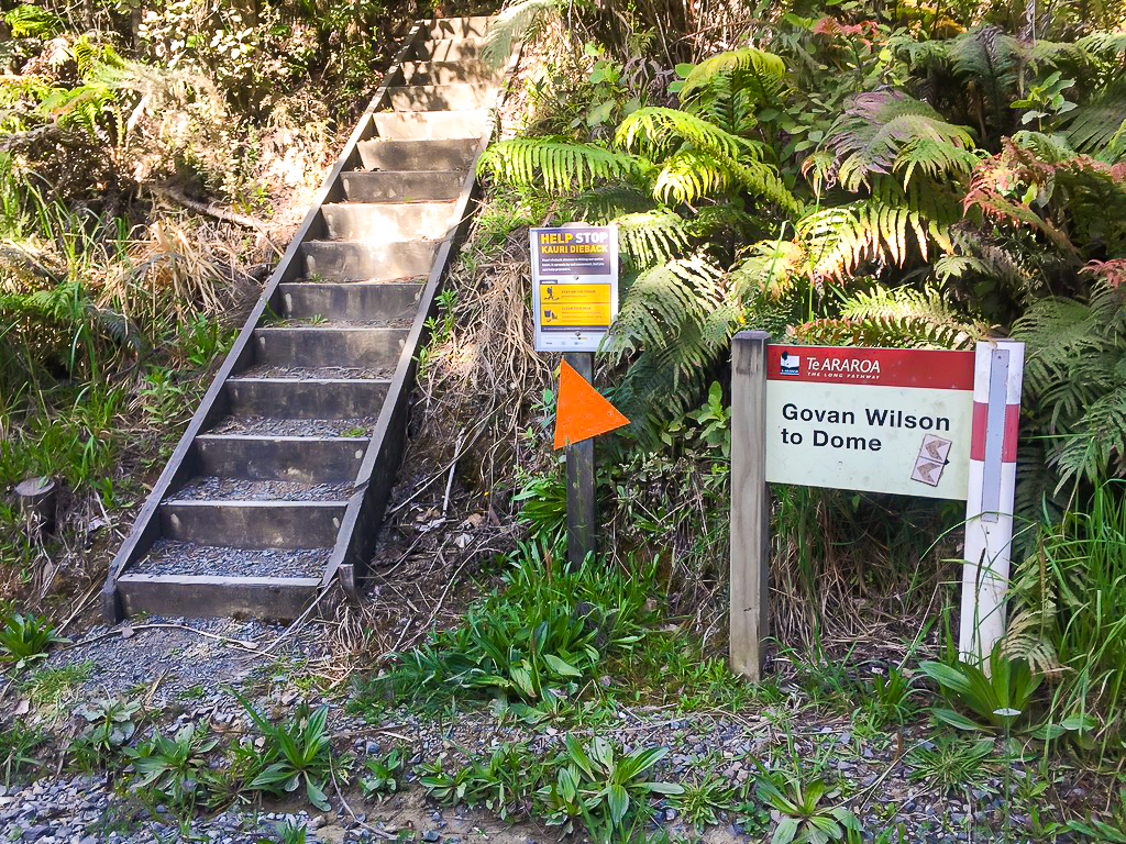 Govan Wilson to Dome Track Start - Te Araroa