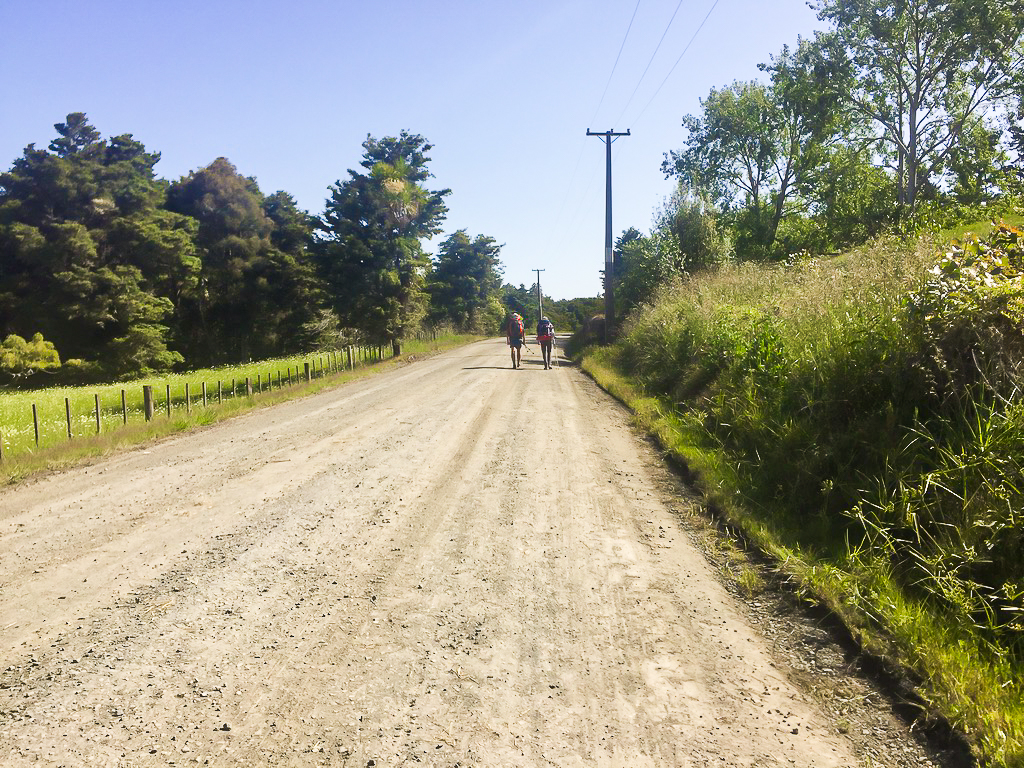 Gravel Roads on the way to Nanekoti Farmstay - Te Araroa