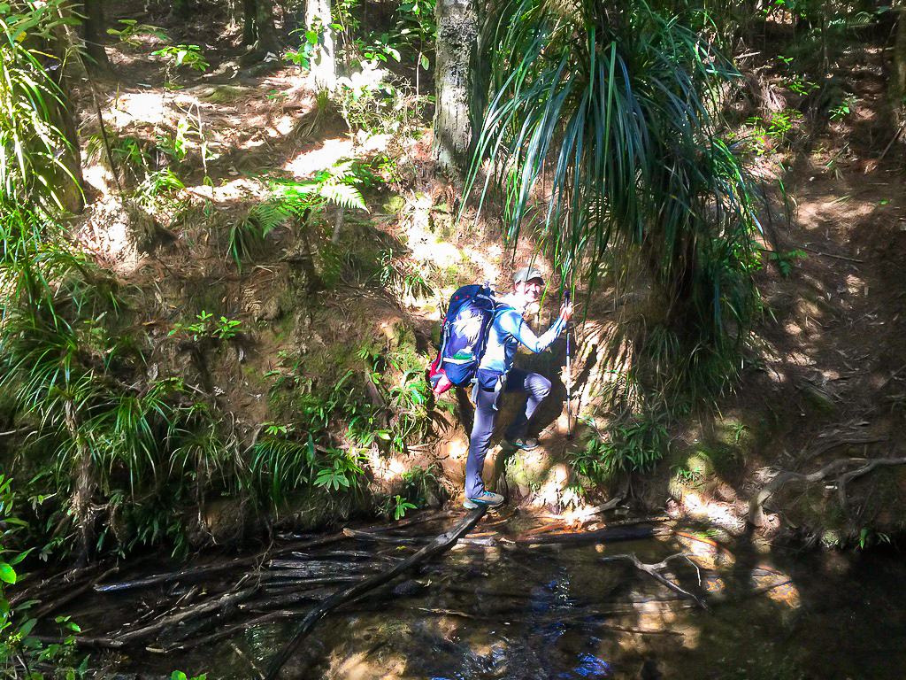 Julia Crossing a Stream on the Dome Forest Track - Te Araroa