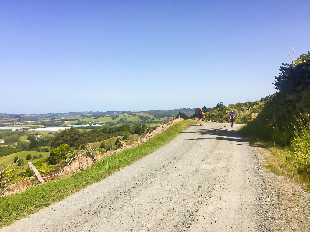 Road Walk to Nanekoti - Te Araroa