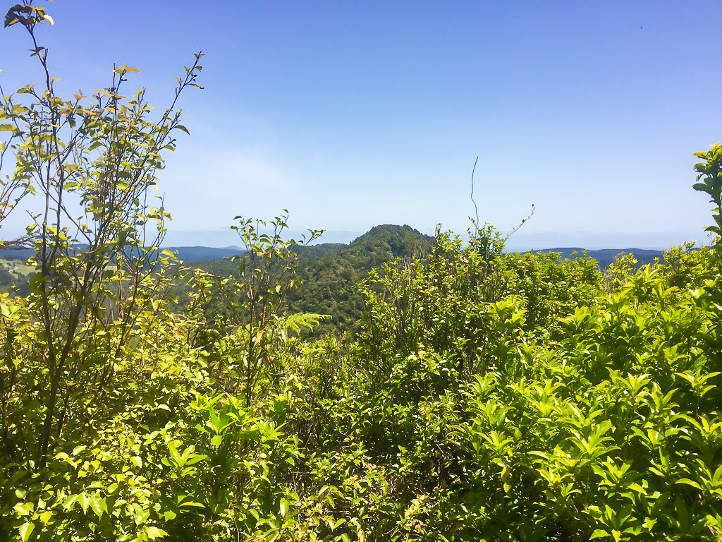 View Towards Dome Summit - Te Araroa