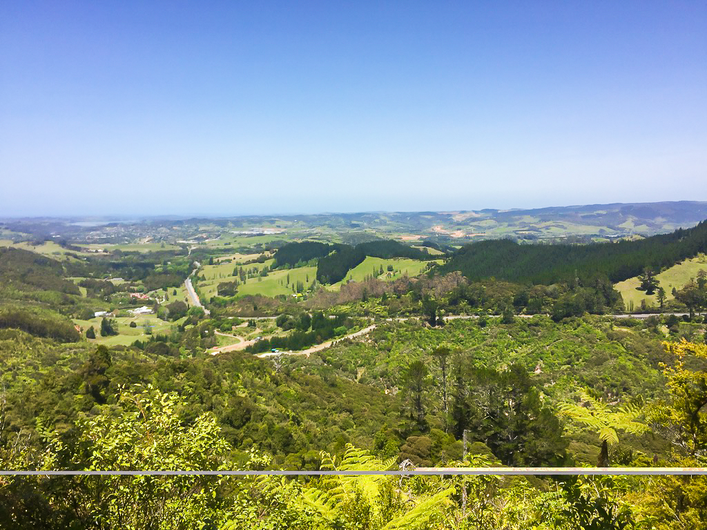 View Towards Warkworth from Dome Forest