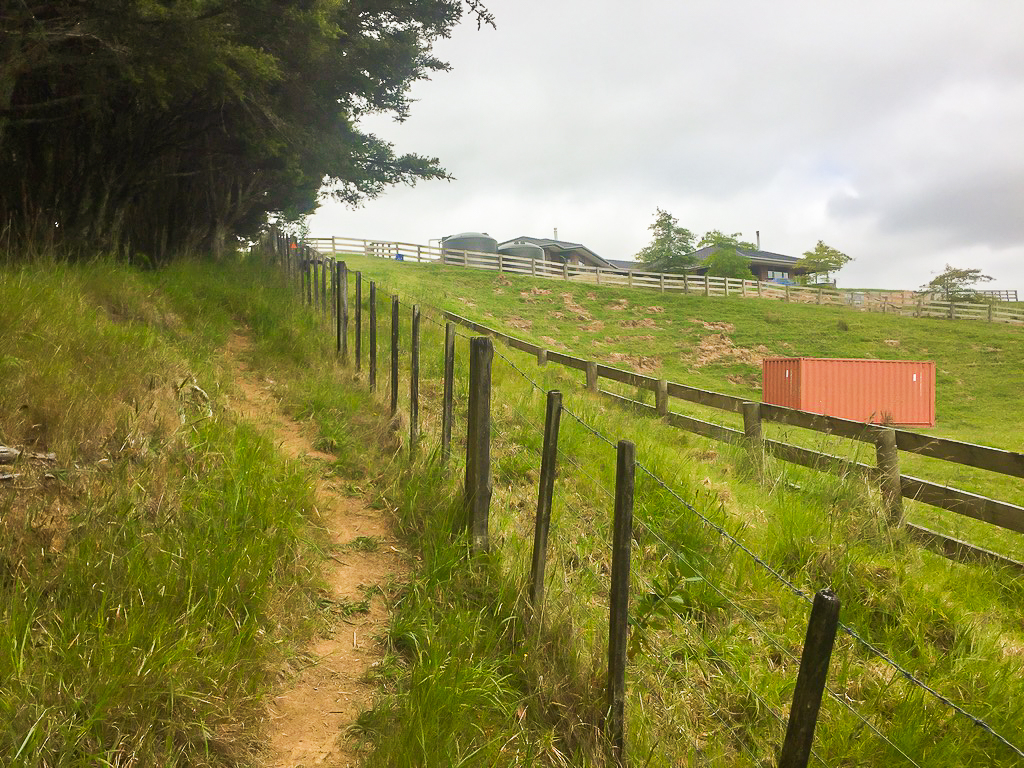 Dunns Bush Track Along Private Property - Te Araroa