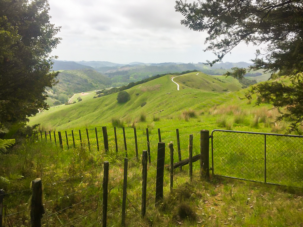 Dunns Bush Track End - Te Araroa