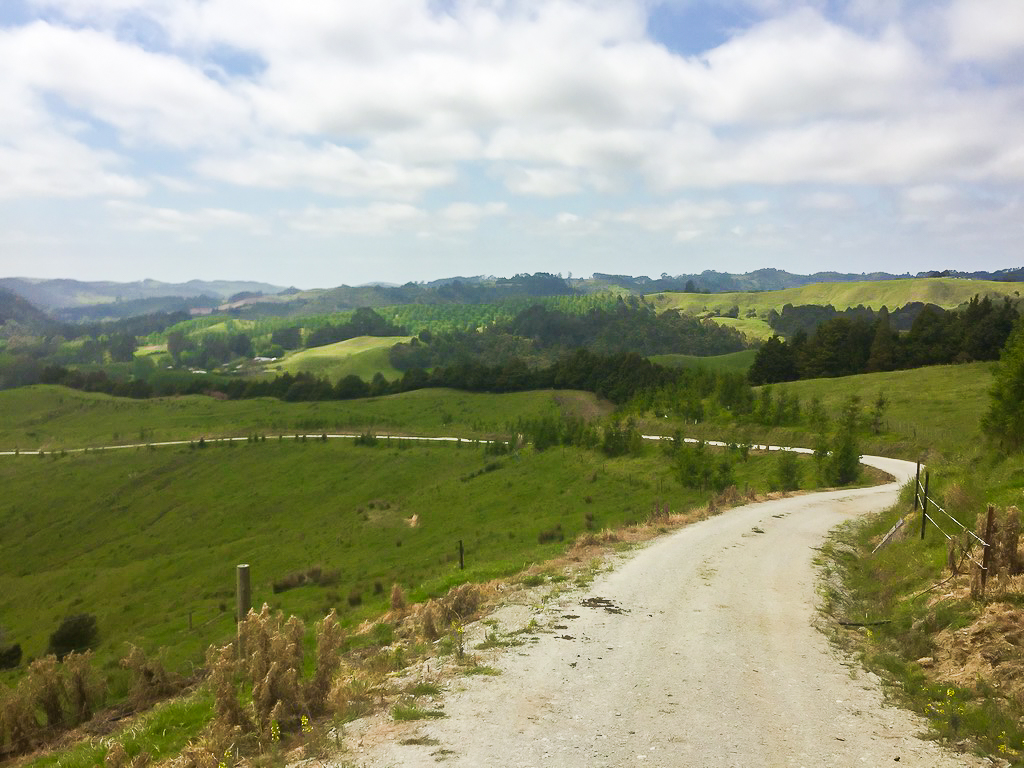 Farm Road Hiking near Puhoi - Te Araroa