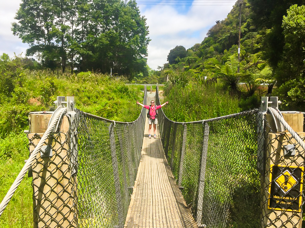 First Swing Bridge of Te Araroa - Te Araroa