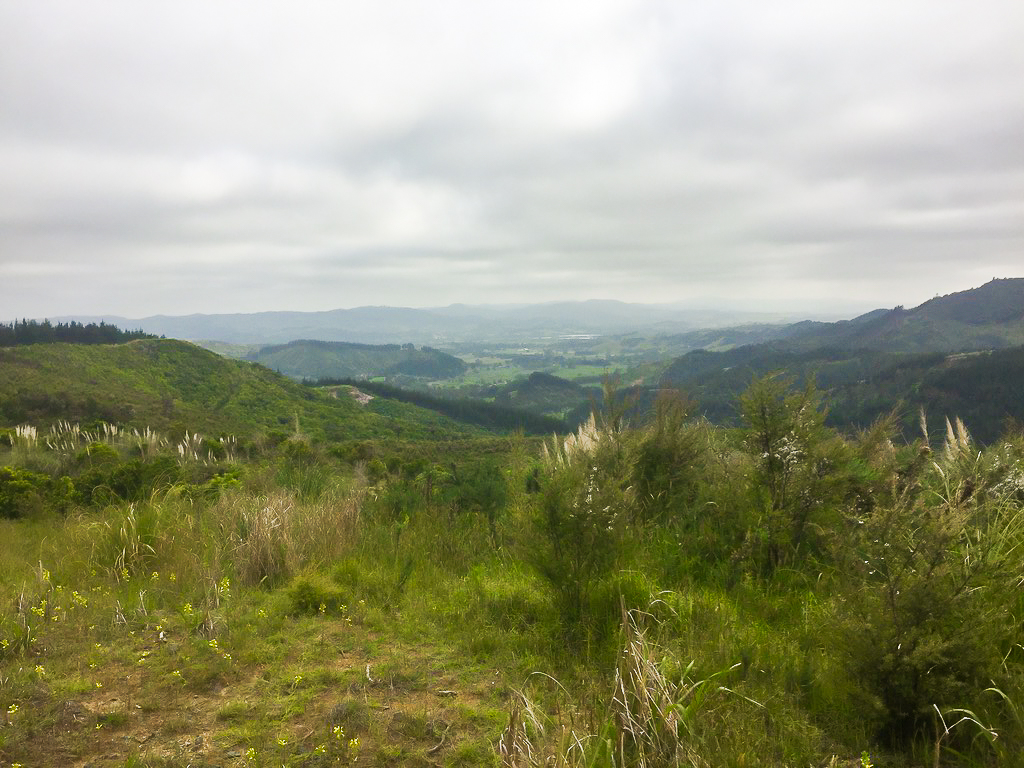 Moirs Hill Scenic Viewpoint - Te Araroa