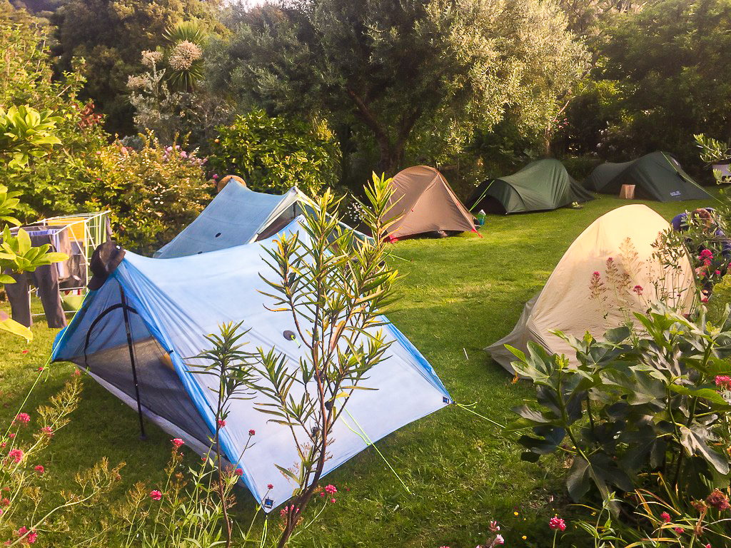 Pip's Place Puhoi Tent Pitch - Te Araroa