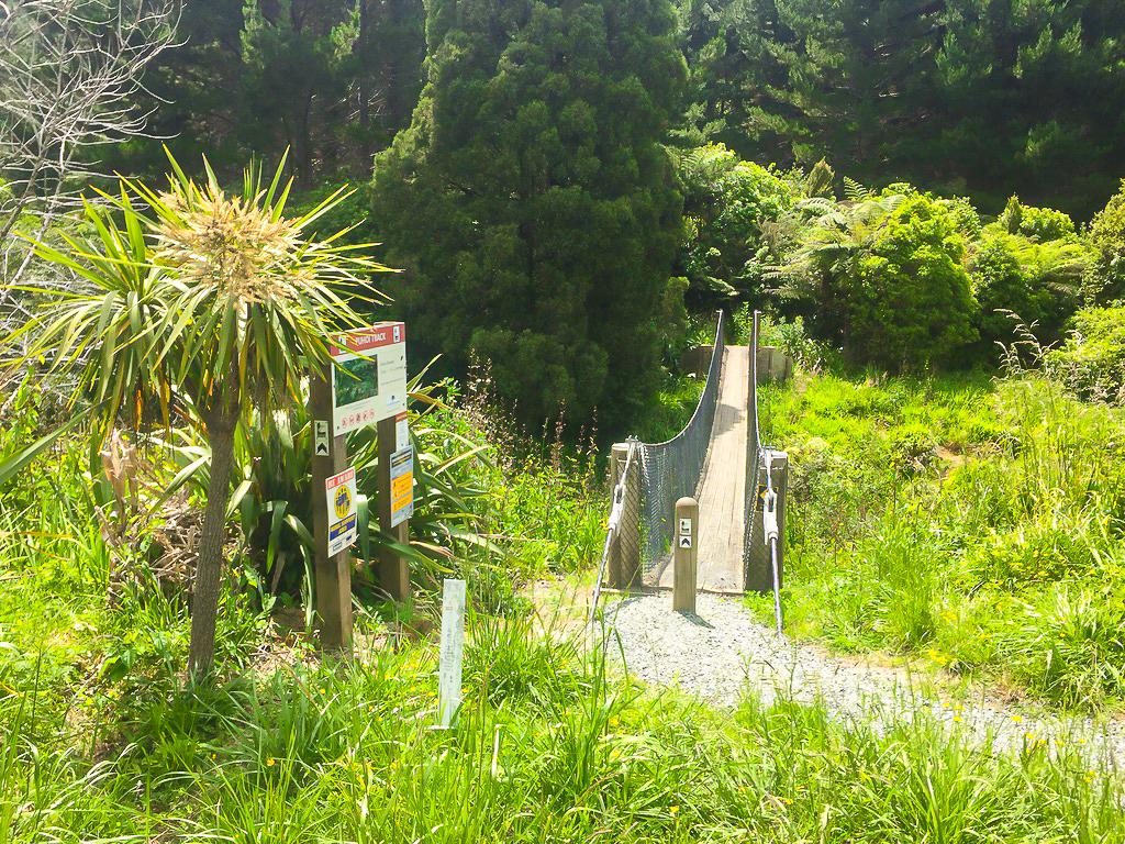 Puhoi River Swing Bridge - Te Araroa