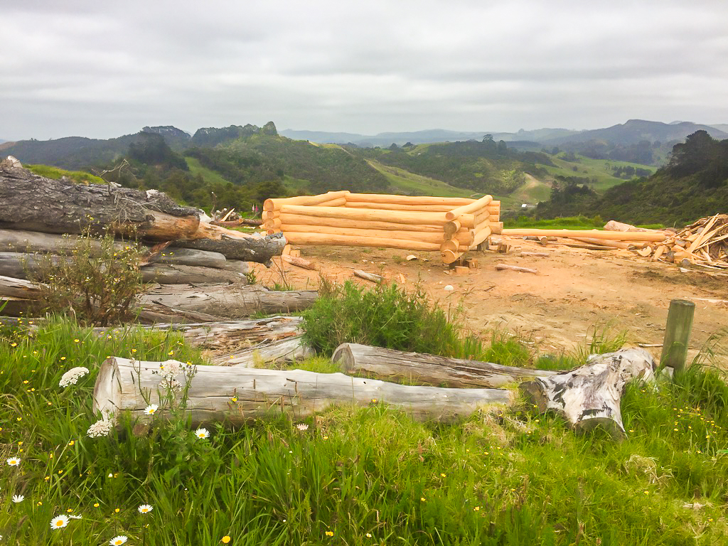 Random Log Cabin near Dunns Track - Te Araroa