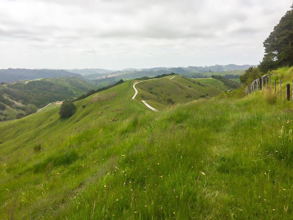 The Hills are Alive South of Dunns Bush Track - Te Araroa