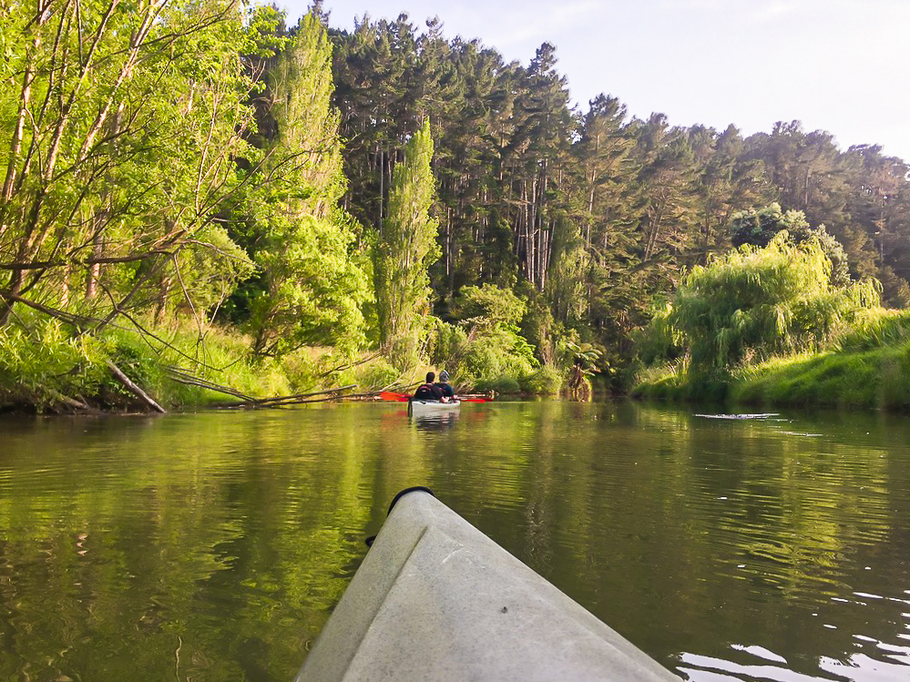 Kayaking down the Puhoi River - Te Araroa