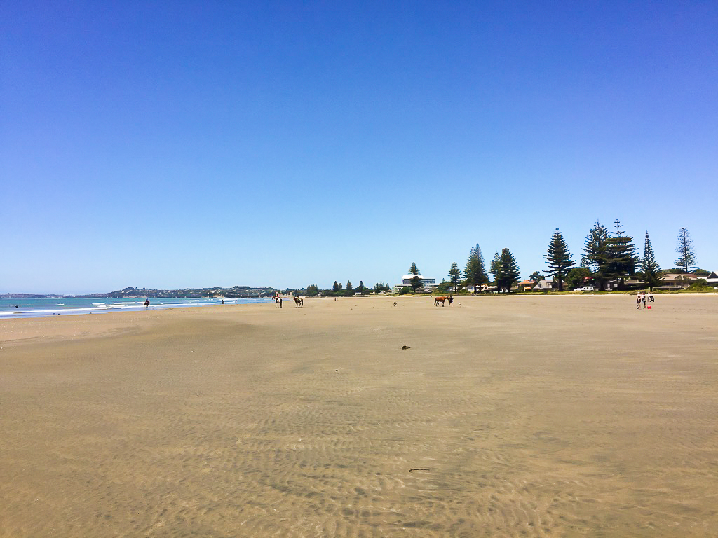 Orewa Beach - Te Araroa