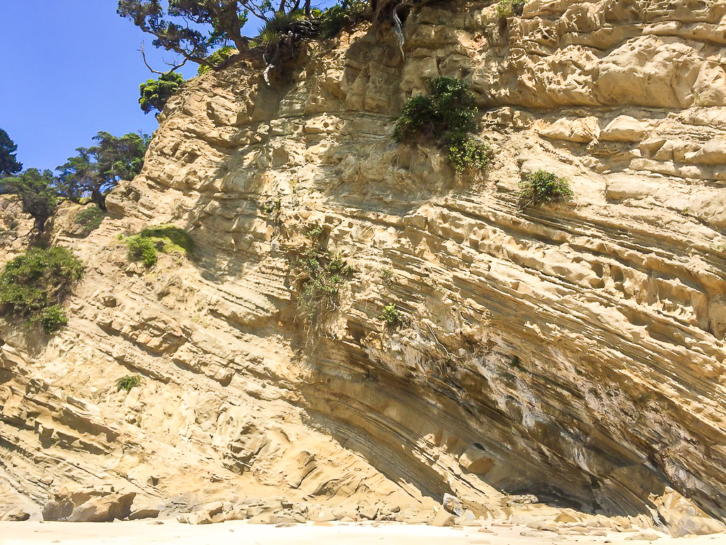 Orewa Coastal Walkway Cliffs - Te Araroa