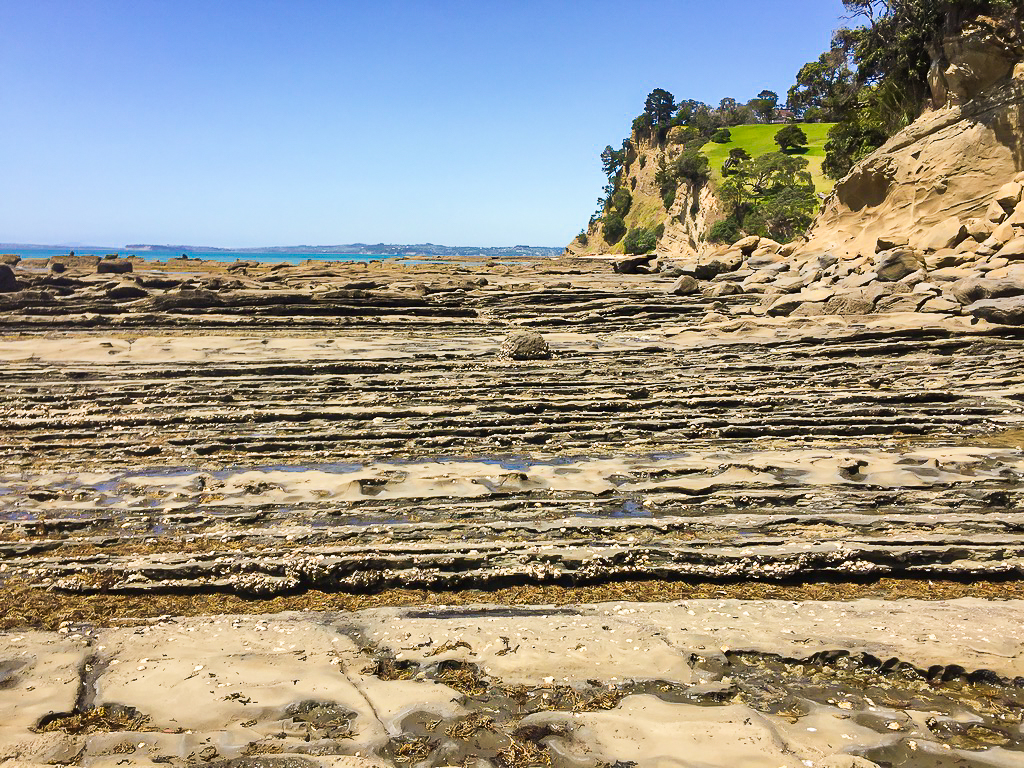 Orewa Coastal Walkway Rock Stratification - Te Araroa