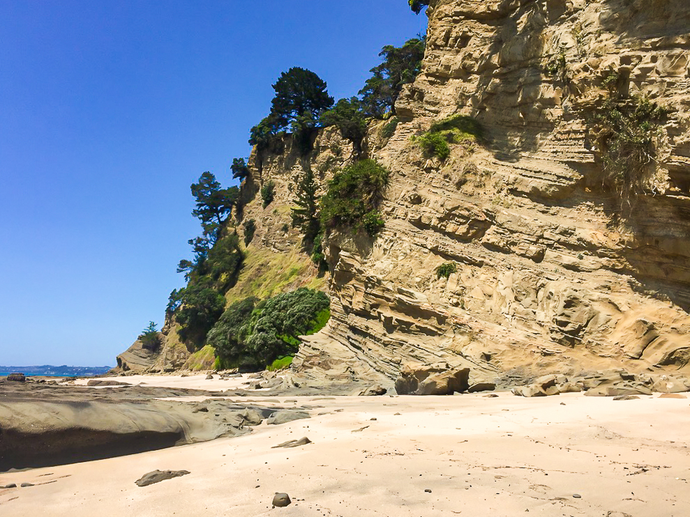 Orewa Coastal Walkway Scenic Track - Te Araroa