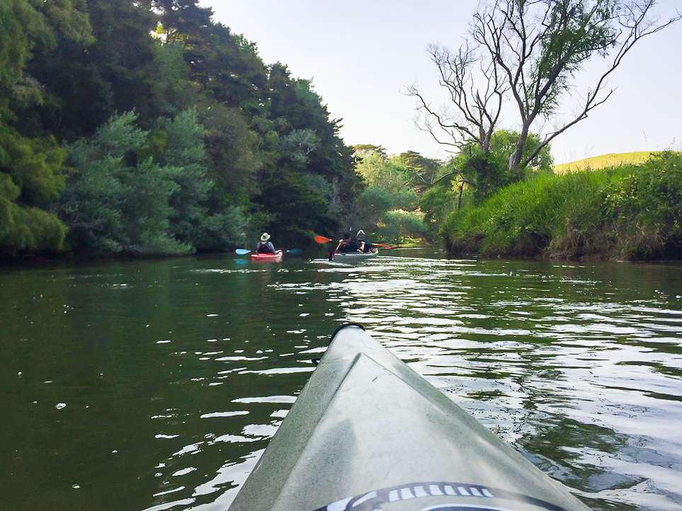 Puhoi River Canoe Hikers Kayak the Puhoi River - Te Araroa