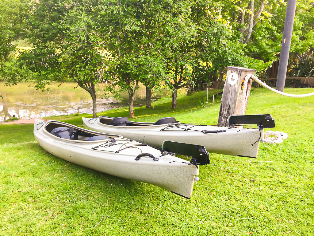 Puhoi River Canoe Kayaks - Te Araroa