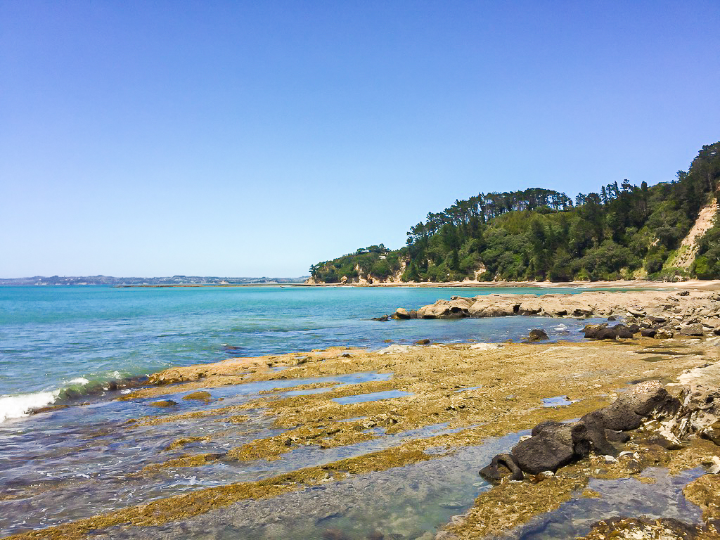 Views Along the Bays on the Orewa Coastal Walkway - Te Araroa