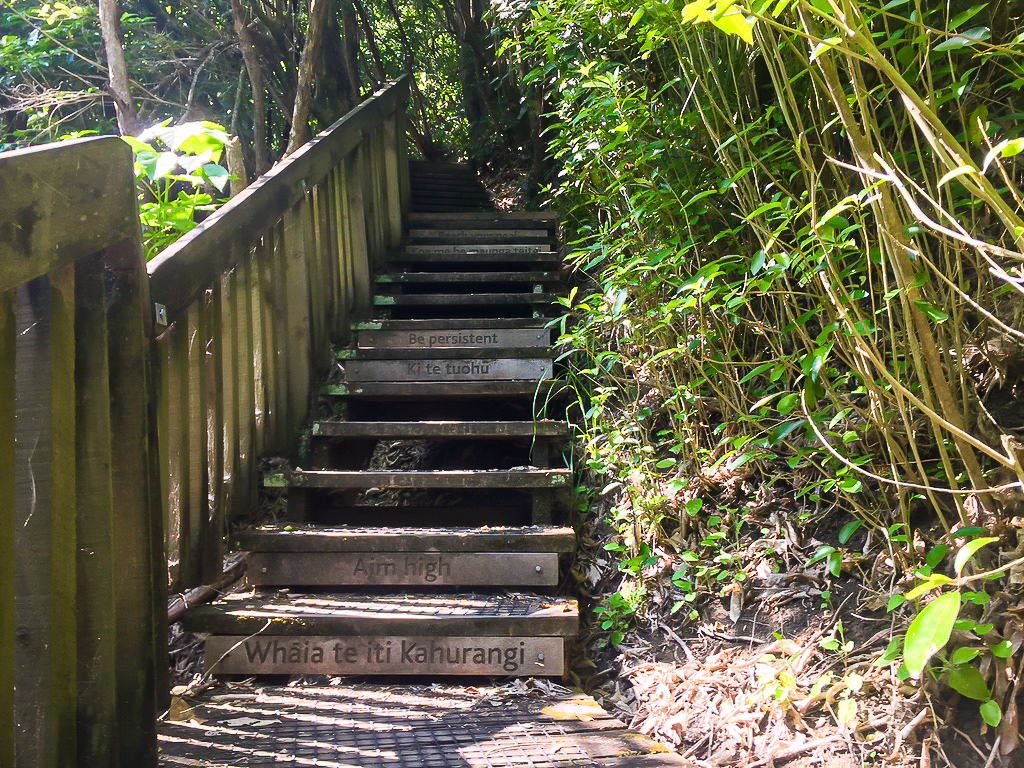 Wenderholm Regional Park Motivational Staircase - Te Araroa