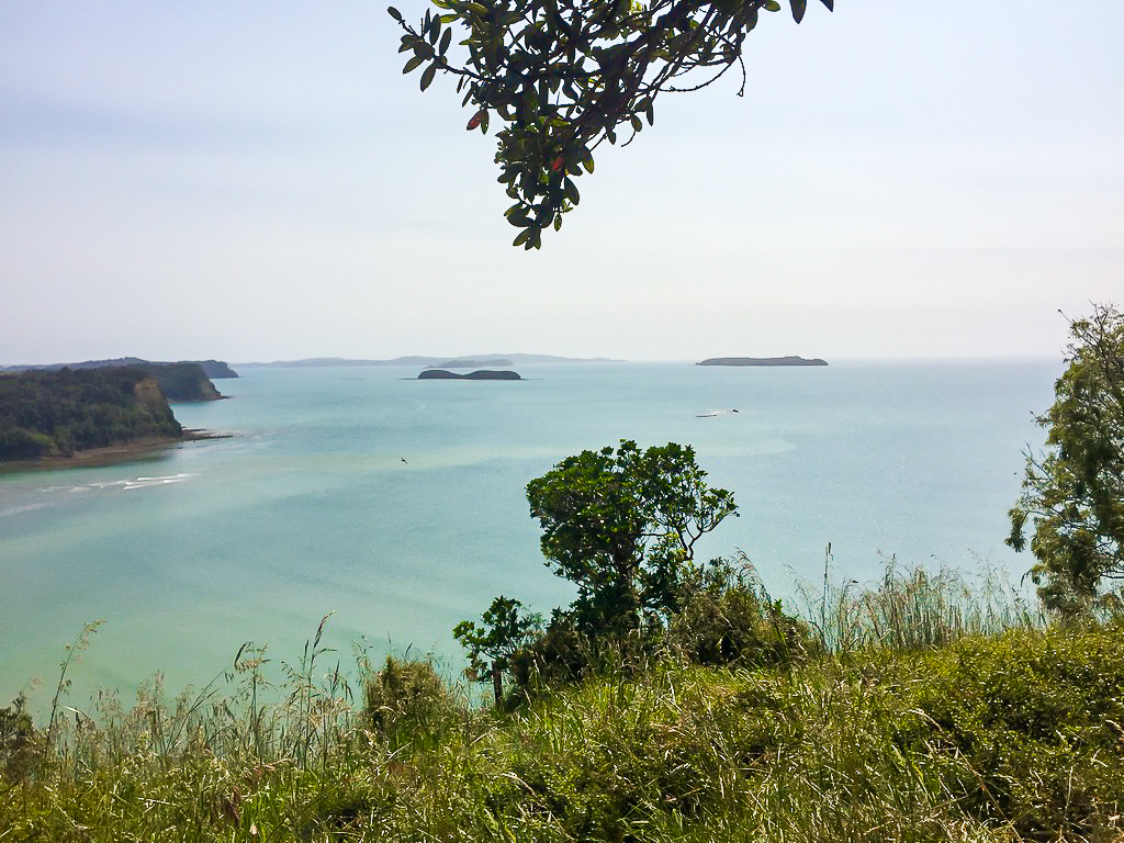 Wenderholm Regional Park View of Estuary - Te Araroa