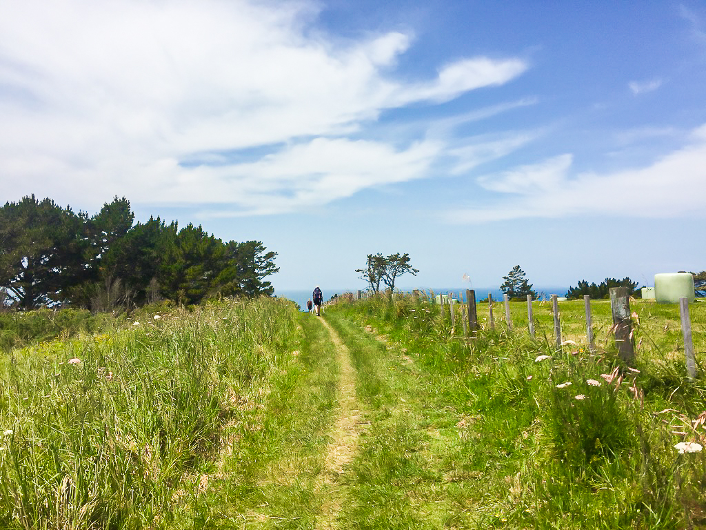 Grassy Hiking on the Other Side of Dacre Point - Te Araroa