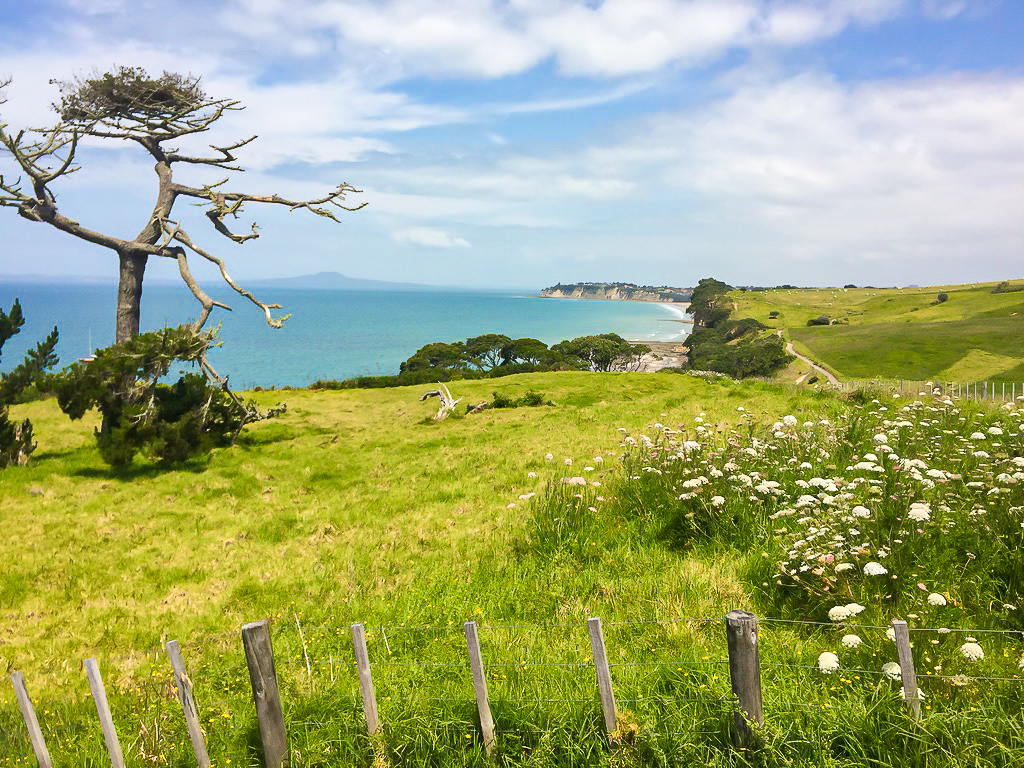 View of Long Bay North Shore - Te Araroa