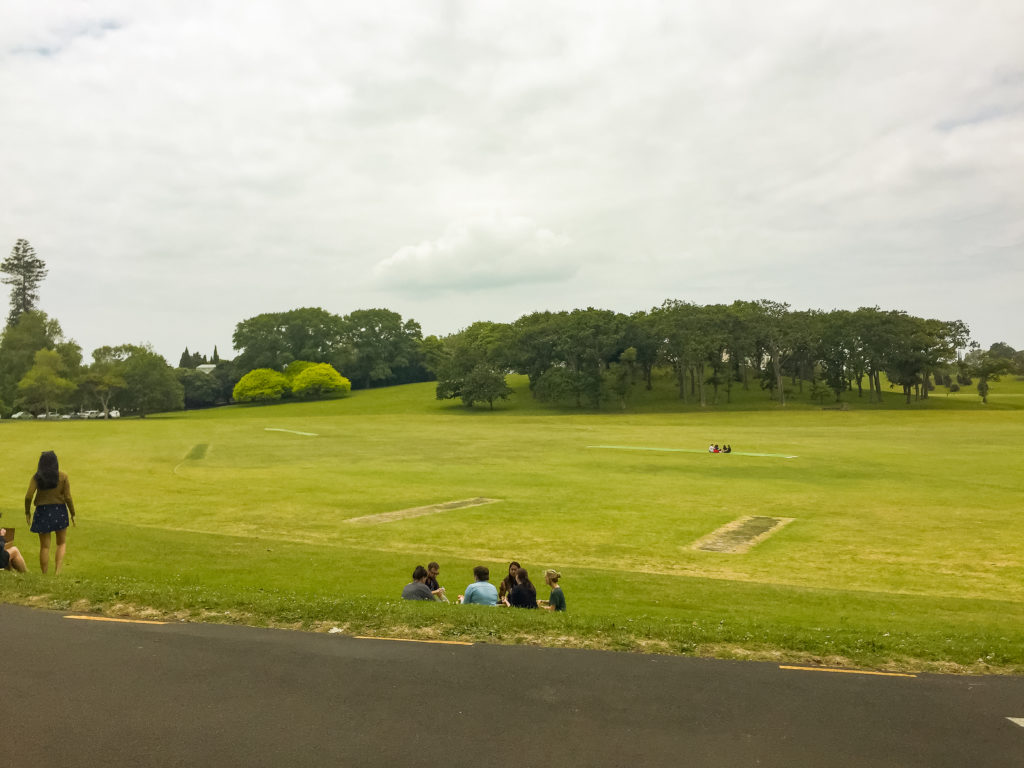 Auckland Domain Cricket Ground - Te Araroa